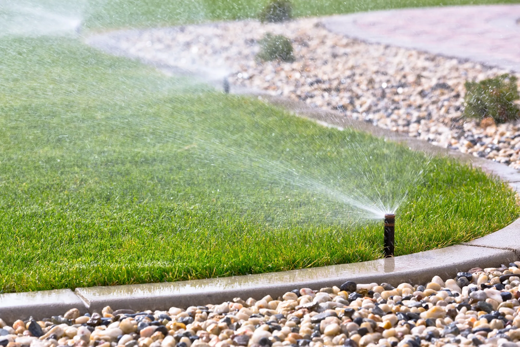 Lawn sprinkler watering a garden bed and paved pathway
