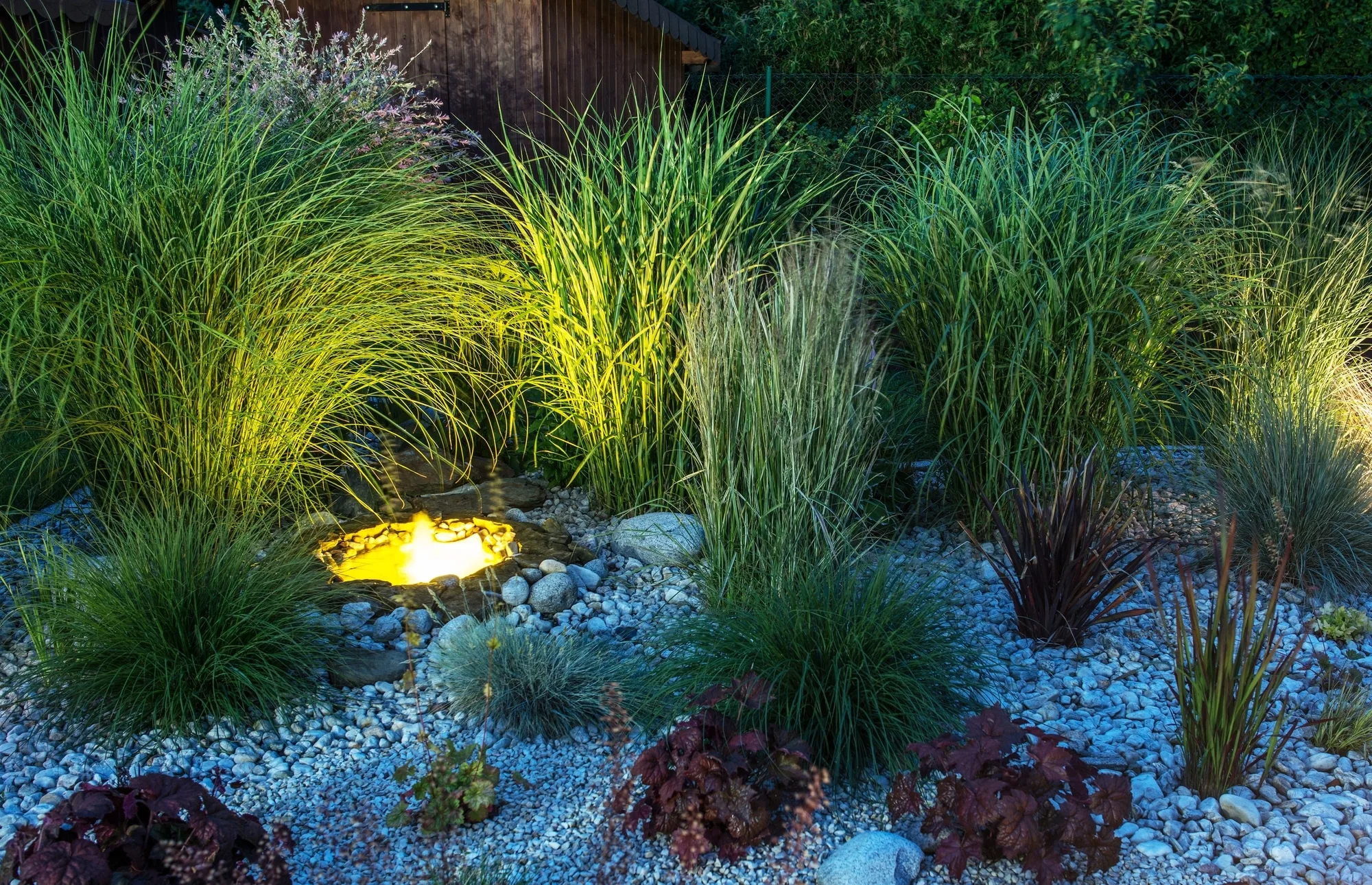 Illuminated fire feature amid ornamental grasses in a garden bed at night